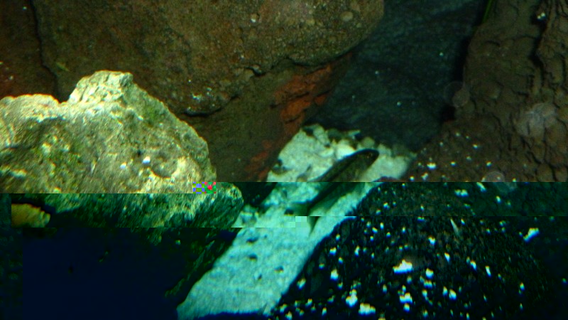 P1070473.JPG