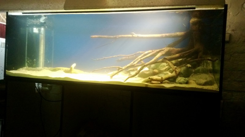 WP_20140823_005.jpg