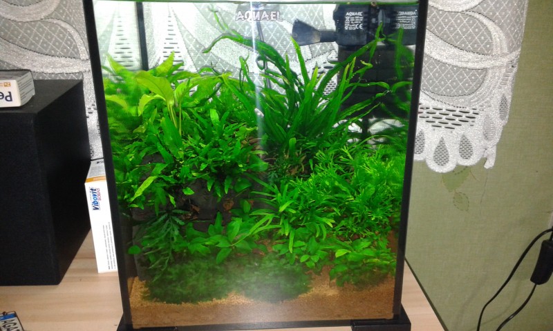20140802_222142.jpg