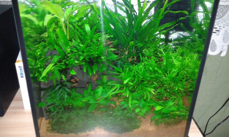 20140802_222214.jpg