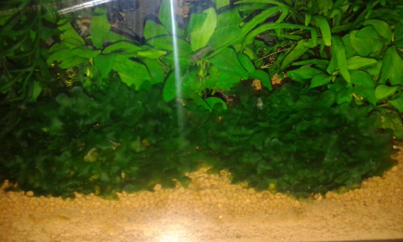 20140802_222313.jpg