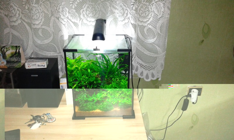 20140802_222349.jpg