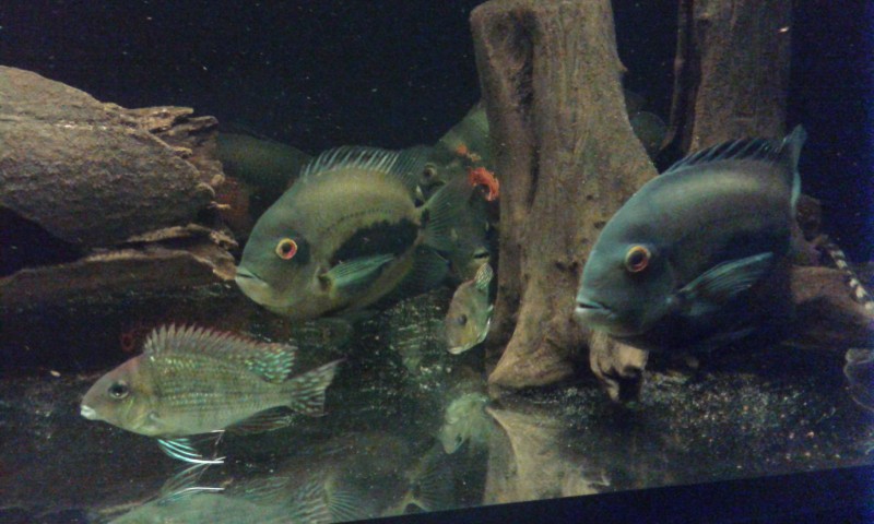 20140802_223140.jpg