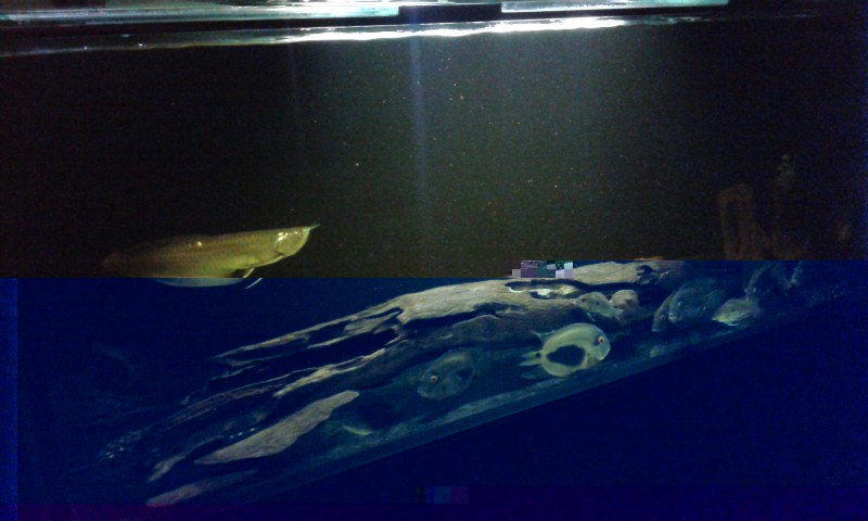 20140802_223254.jpg