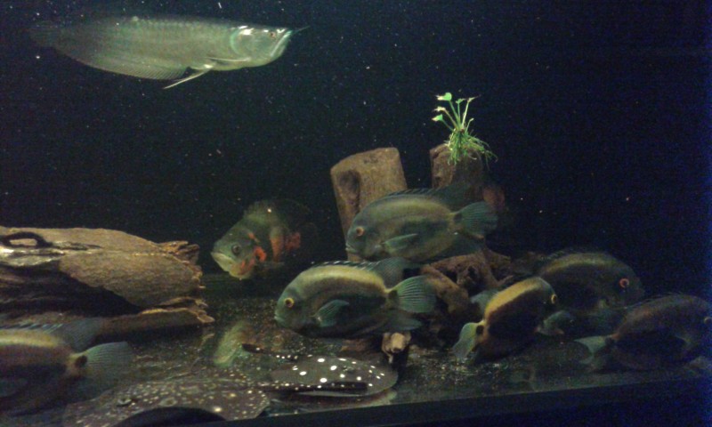 20140802_223552.jpg