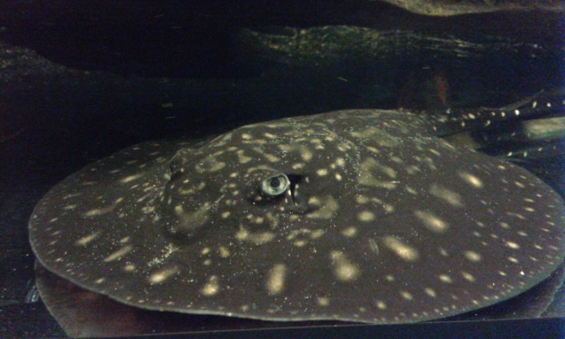 20140802_223608.jpg