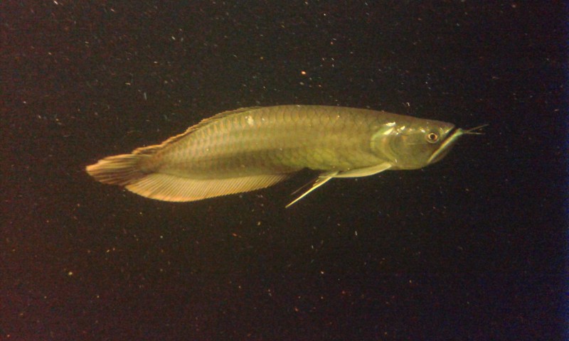20140802_223752.jpg