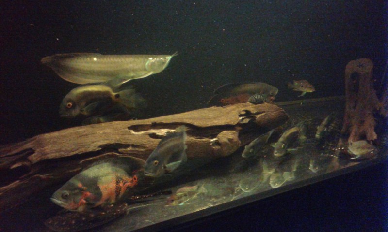 20140802_224059.jpg