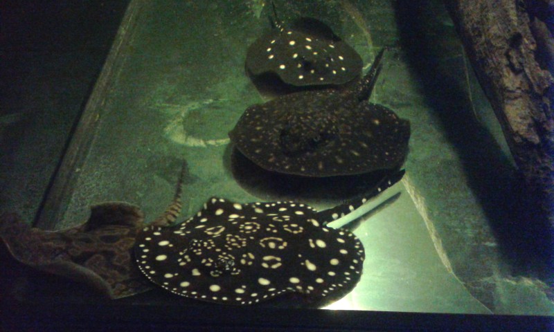 20140802_224149.jpg