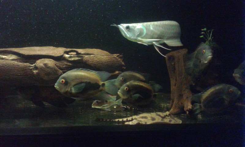 20140802_225112.jpg