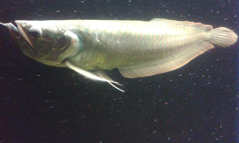 20140802_224557.jpg