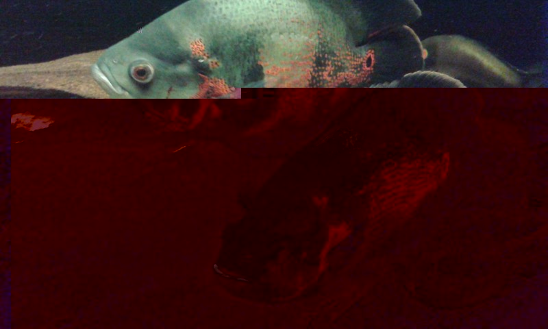 20140802_222803.jpg