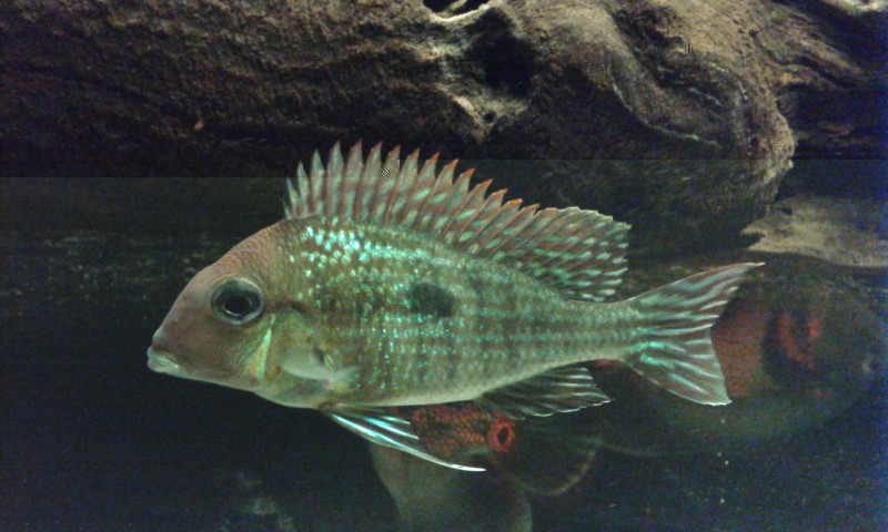 20140802_223155.jpg