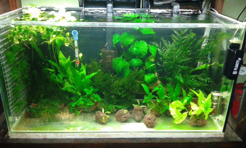 20140802_221941.jpg