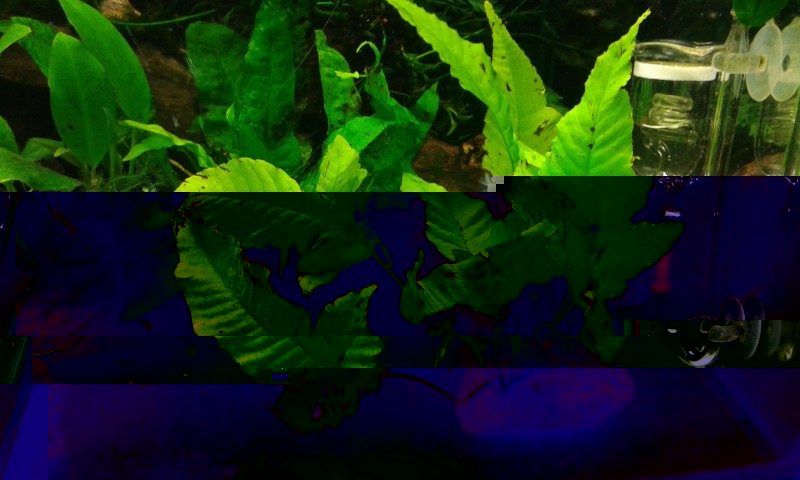 20140802_222009.jpg