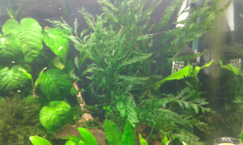 20140802_222017.jpg