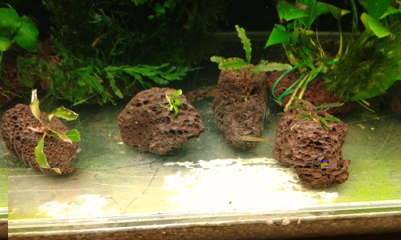 20140802_222025.jpg