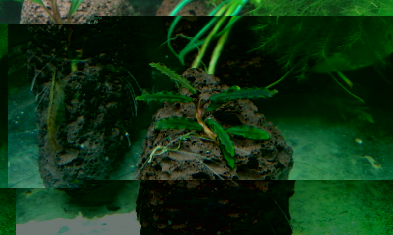 20140802_222035.jpg