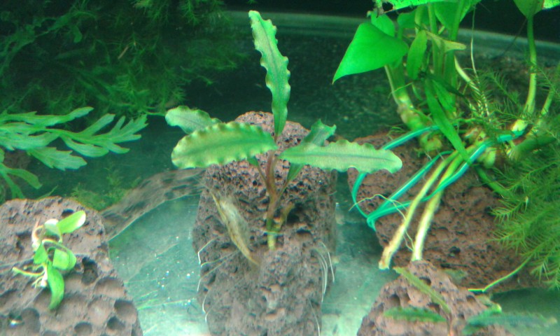 20140802_222043.jpg