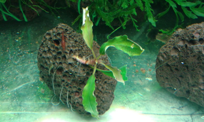 20140802_222056.jpg