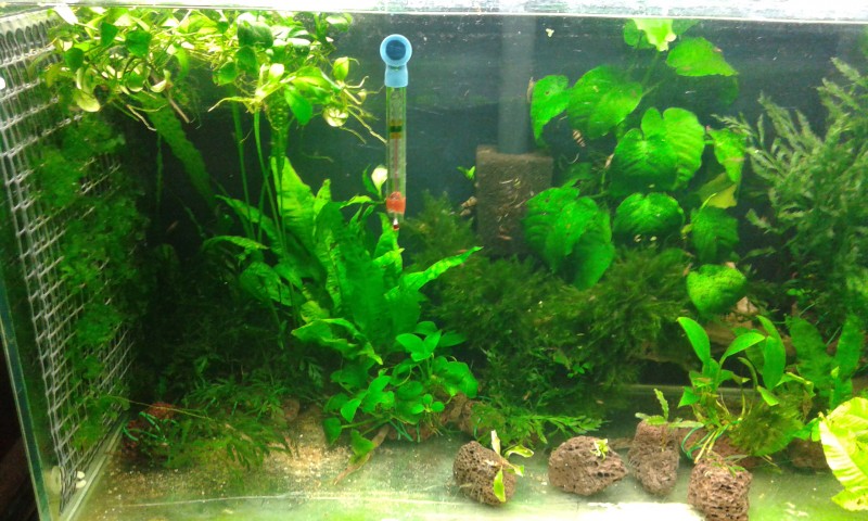 20140802_222123.jpg