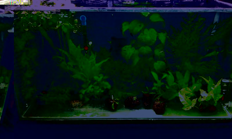 20140802_222000.jpg