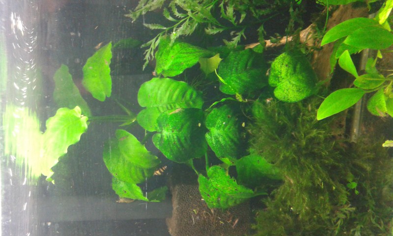 20140802_222114.jpg