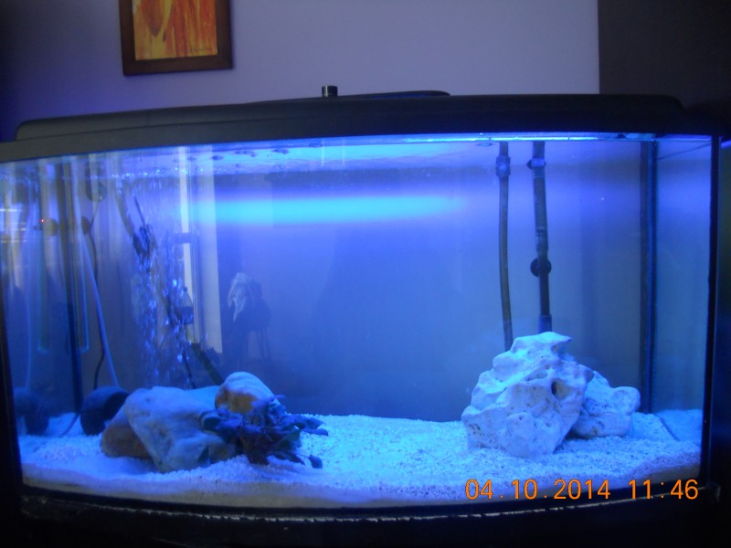 DSCN4824.JPG