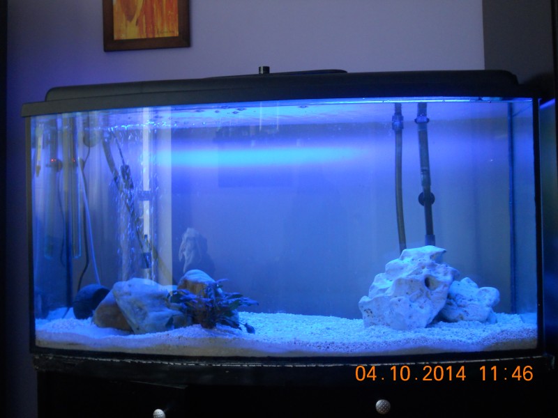 DSCN4823.JPG