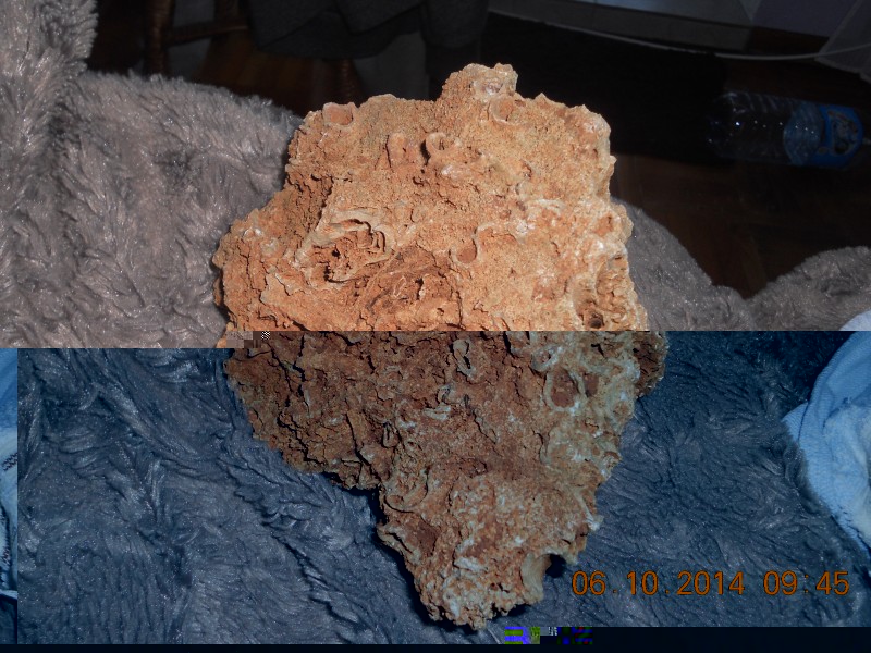 DSCN4829.JPG