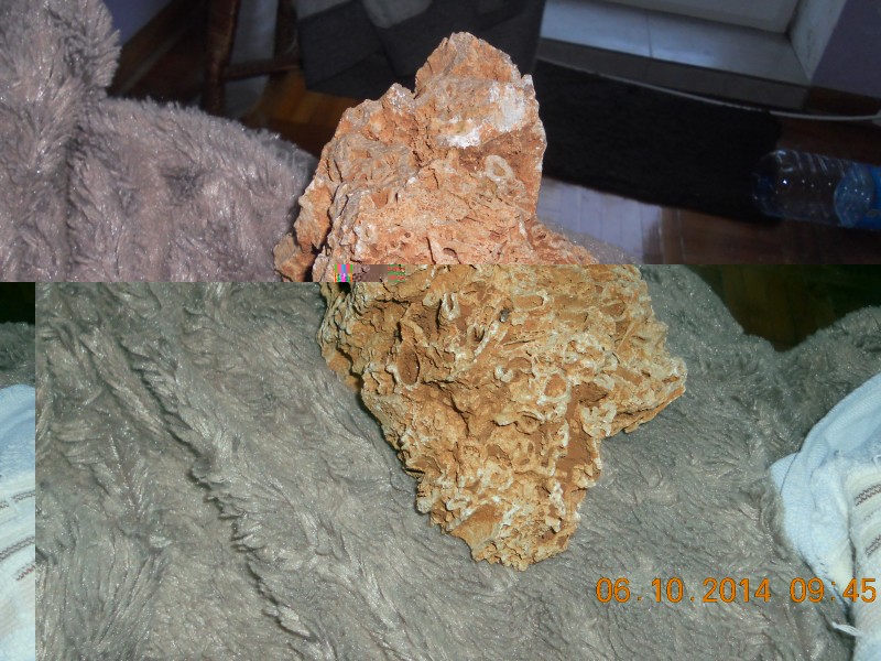 DSCN4828.JPG