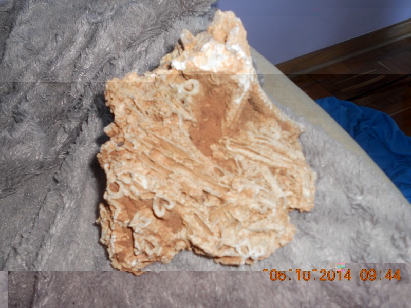 DSCN4827.JPG