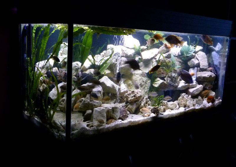 P1030617.JPG