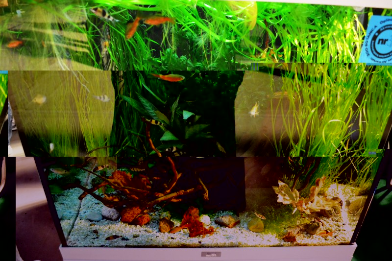 Akwarium na stanowisku firmy Tropical ;)