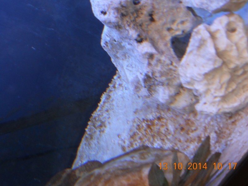 DSCN4837.JPG