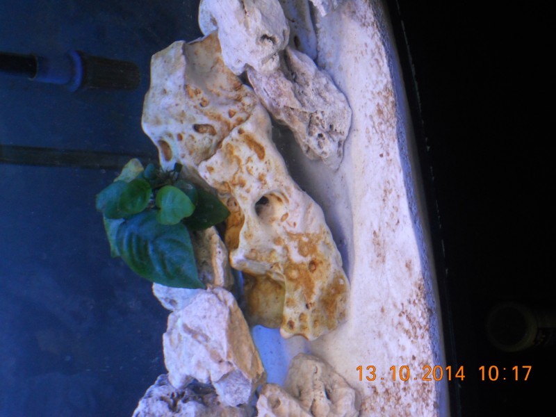 DSCN4836.JPG