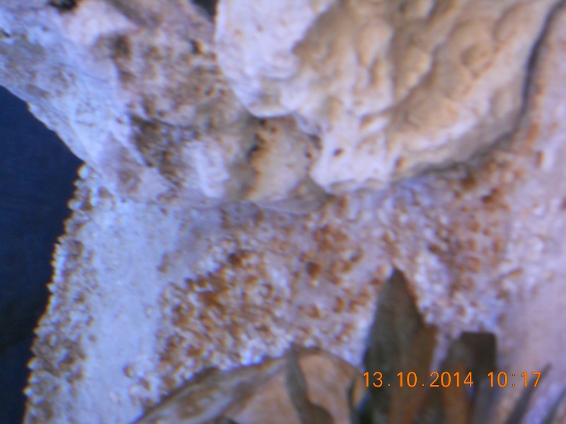 DSCN4835.JPG