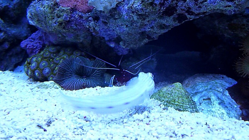 P1080173.JPG