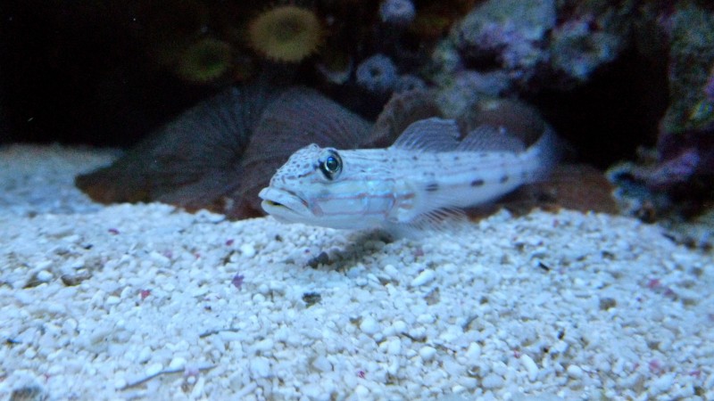 P1080273.JPG