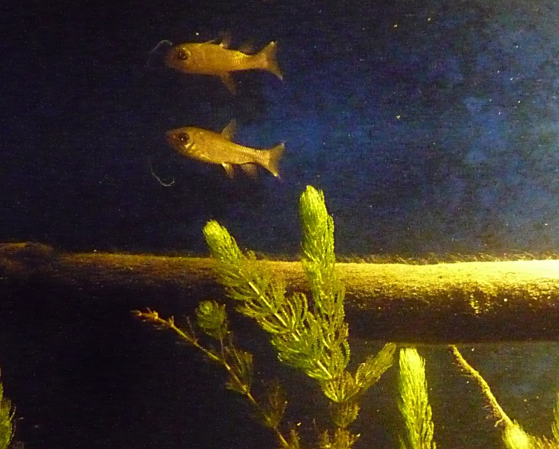 P1050010-crop.JPG