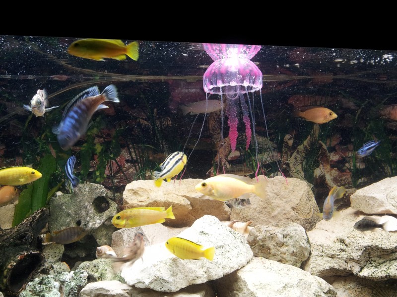 2014-12-06 21.59.09.jpg