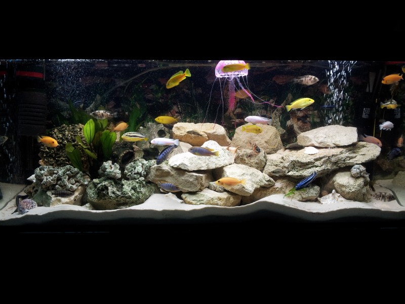 2014-12-06 21.59.38.jpg