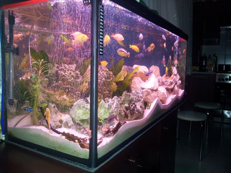 2014-12-30 17.20.16.jpg