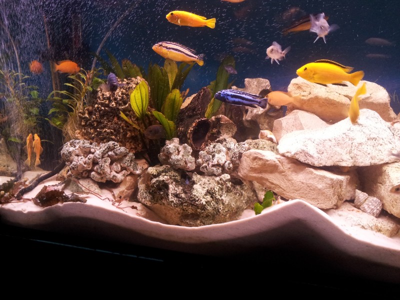 2014-12-30 17.21.31.jpg