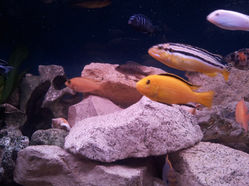 2014-12-30 17.22.18.jpg
