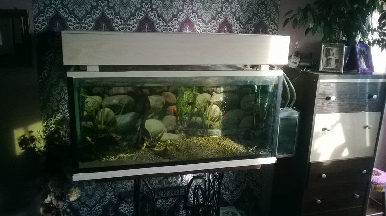WP_20150103_001.jpg