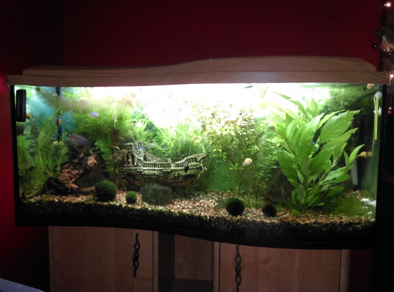IMAG0318.jpg