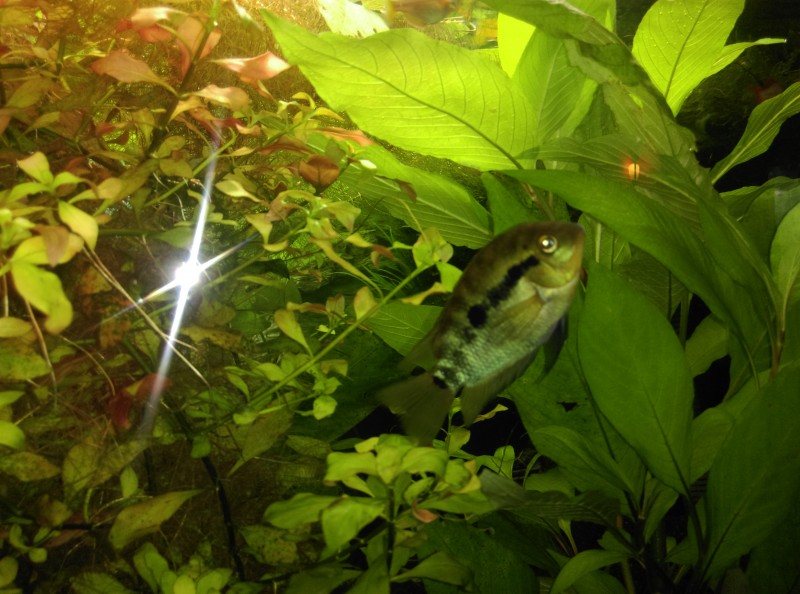 IMAG0339.jpg