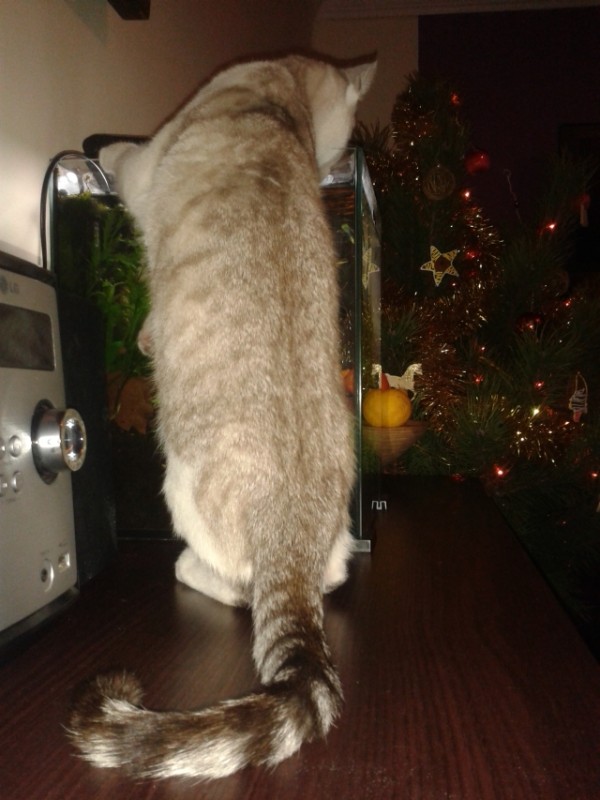 20141226_030410.jpg