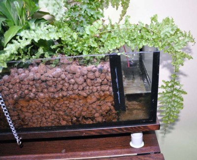 komora wylotowa szer 7cm. Przelot z komory z keramzytem do komory odpływu na wysokość 3,5cm. Odpływ na wysokości 6cm..jpg